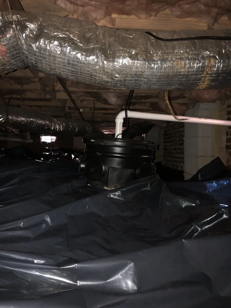 Slide of Shack & Sons