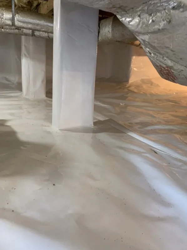 Slide of Shack & Sons