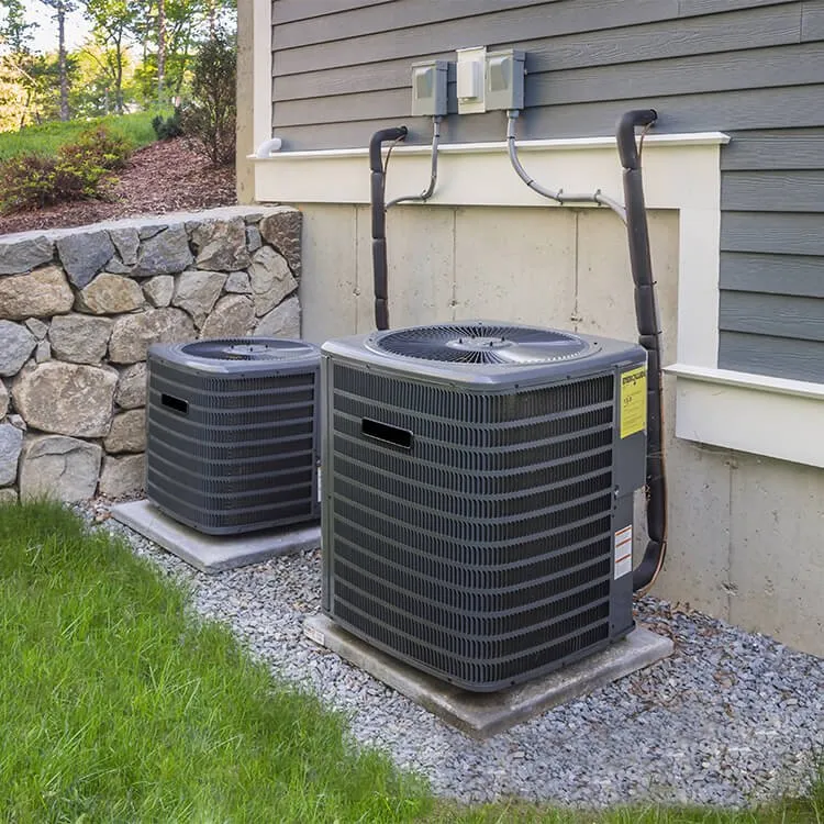 Slide of Shack & Sons