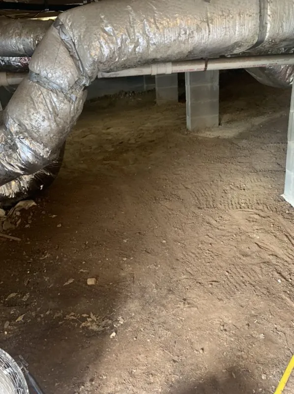 Slide of Shack & Sons