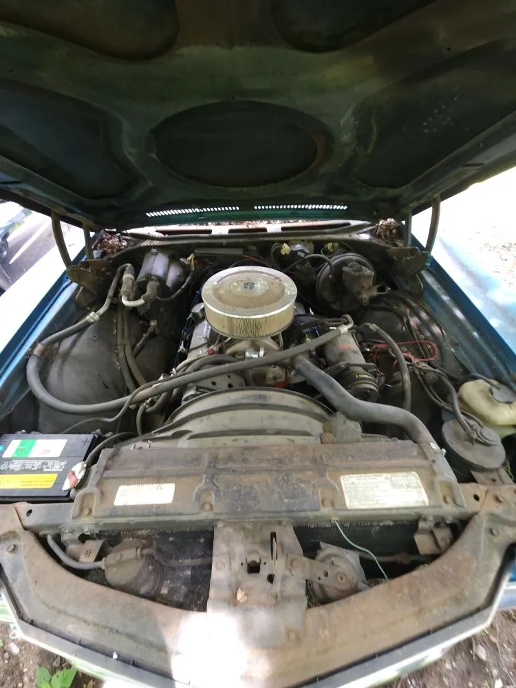 Slide of Shade Tree Mechanical