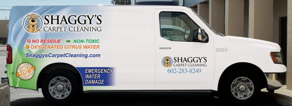 Slide of Shaggy's Carpet Cleaning