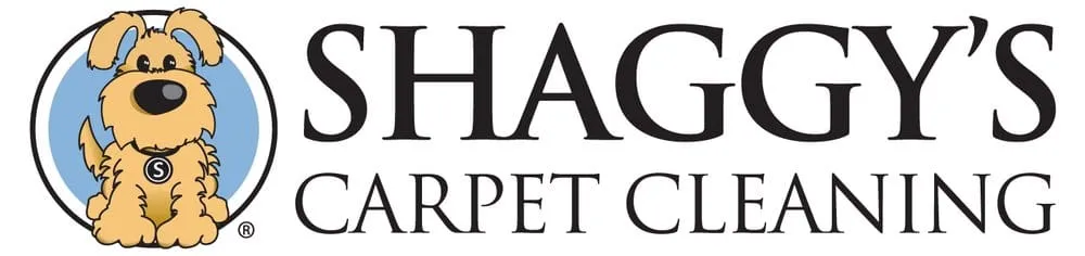 Slide of Shaggy's Carpet Cleaning