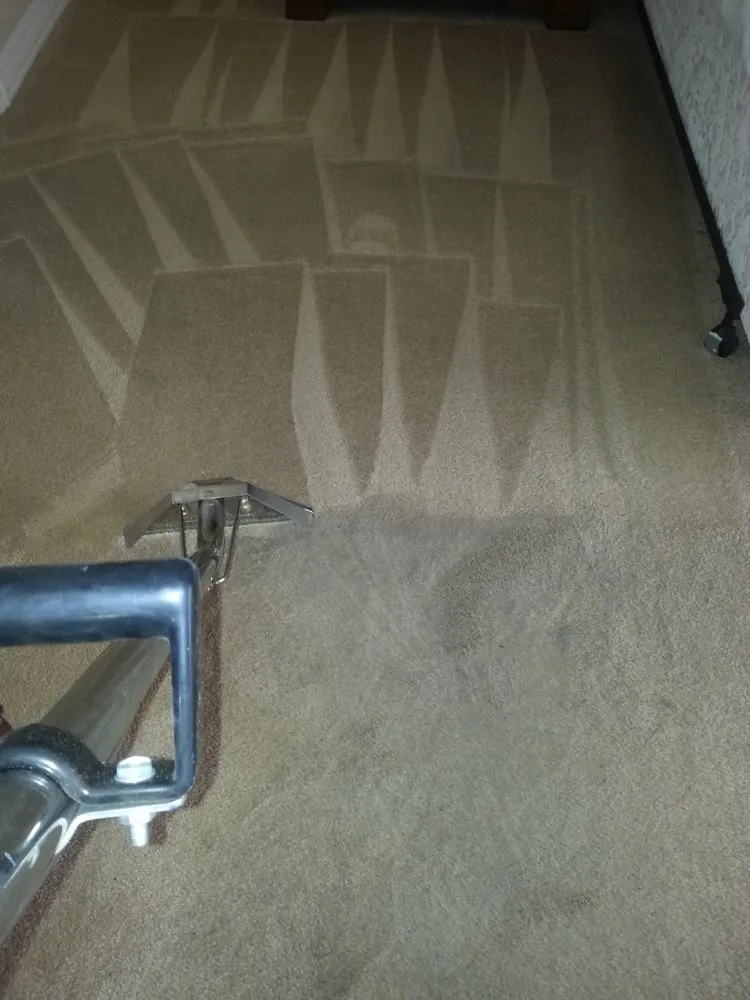 Slide of Shaggy's Carpet Cleaning