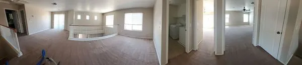 Shaggy's Carpet Cleaning Logo