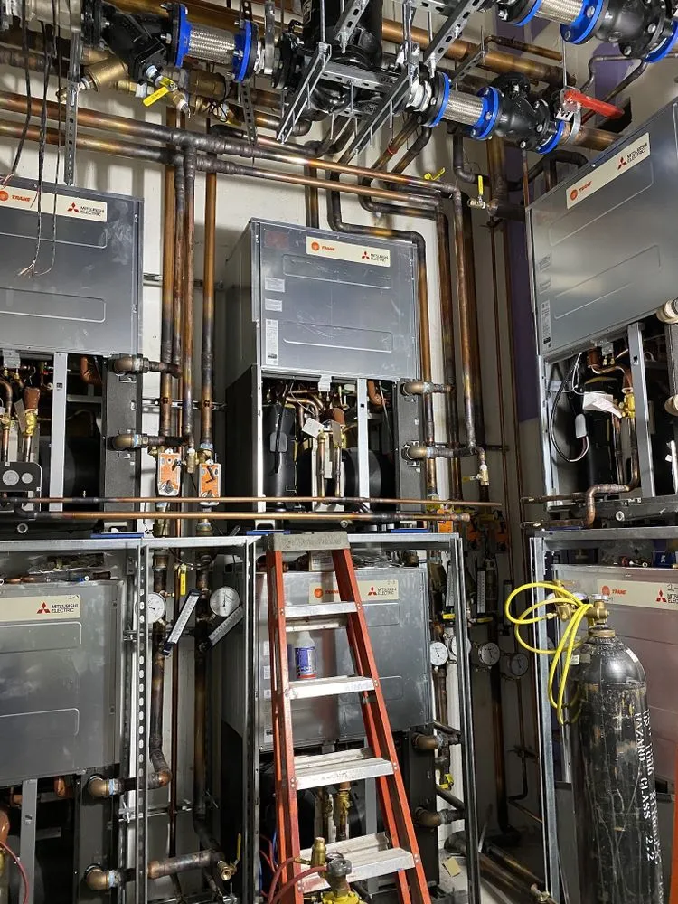 Slide of Shandon Mechanical