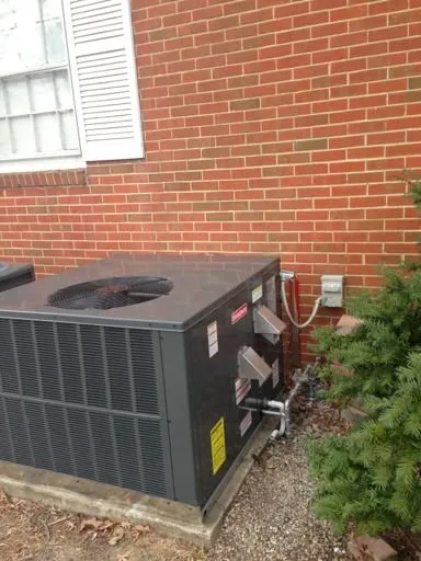 Slide of Shane's Services