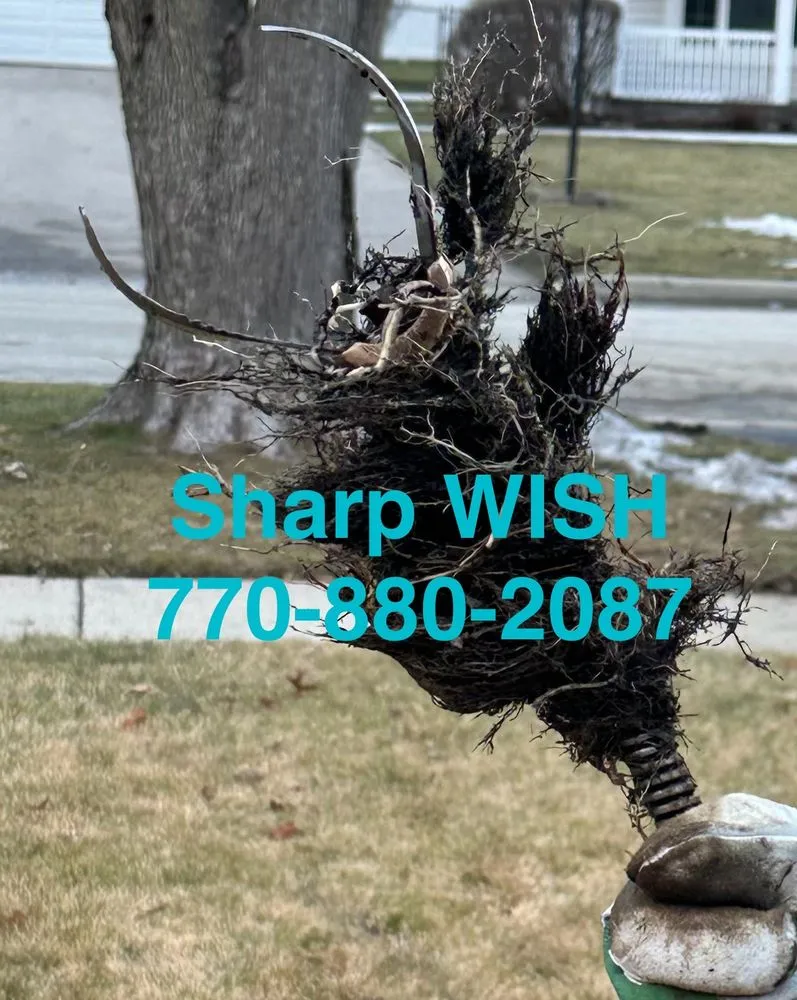 Slide of Sharp Wish