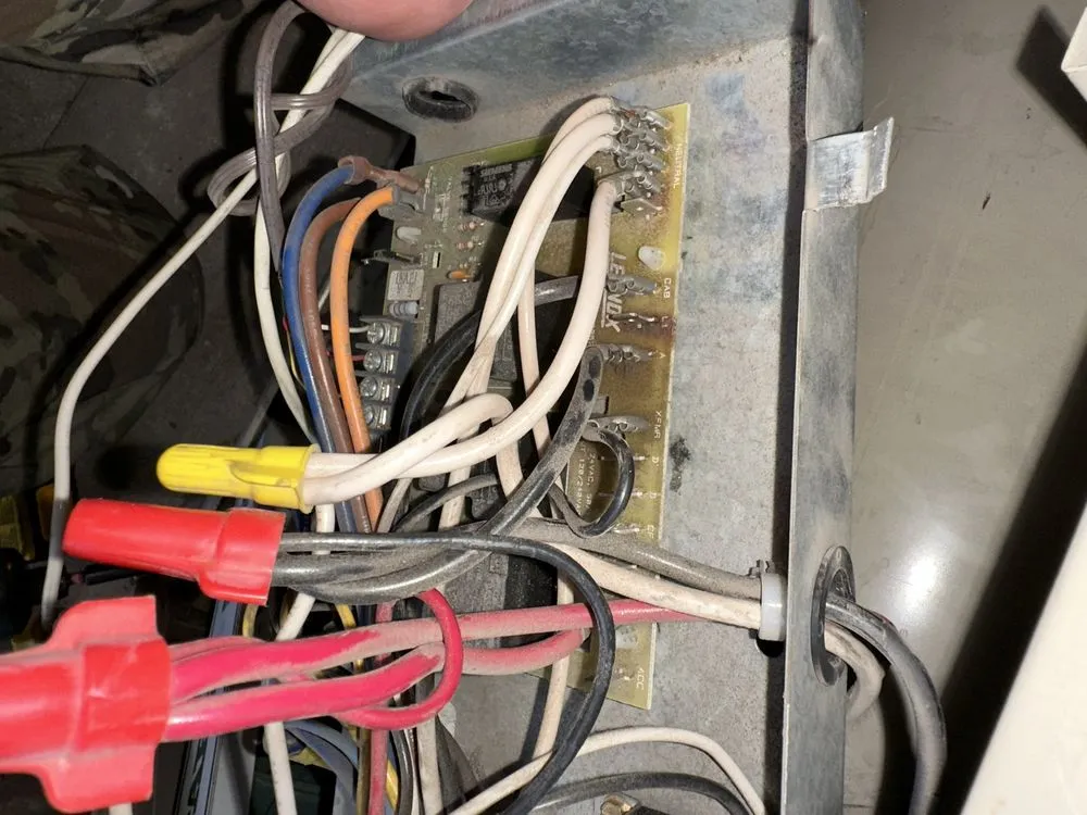 Slide of Shaundale’s