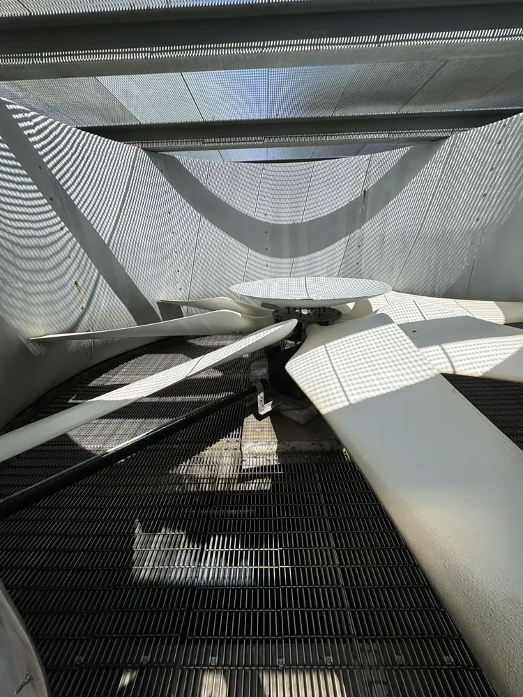 Slide of Shaundale’s