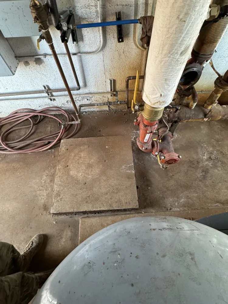 Slide of Shaundale’s