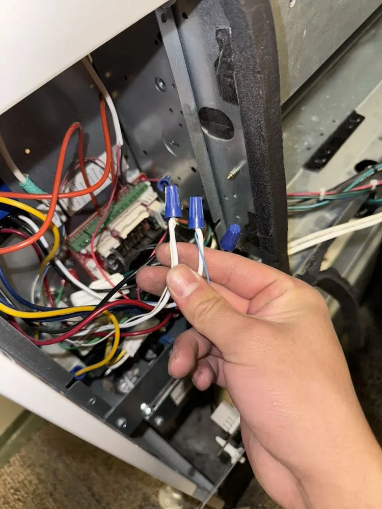 Slide of Shaundale’s