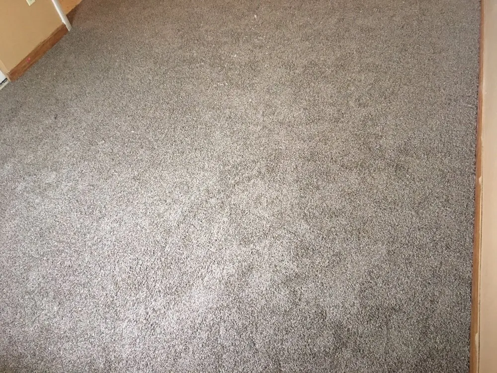 Slide of Shield Grace Construction Company