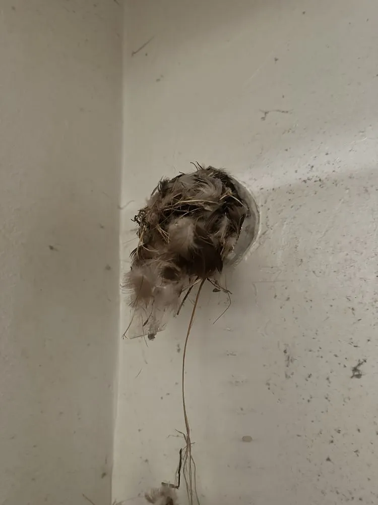 Slide of Shiling Productions