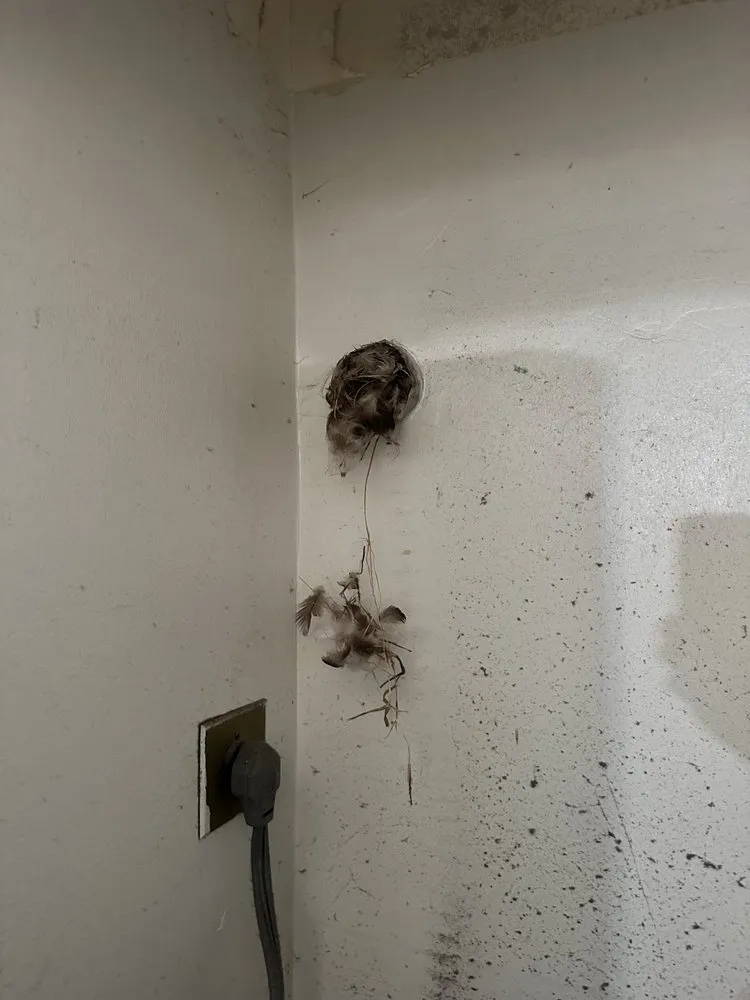 Slide of Shiling Productions