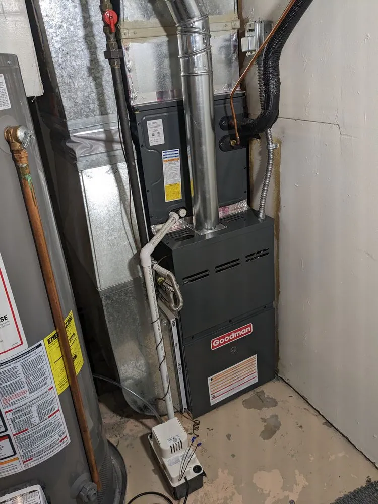 Slide of Shireen Pros