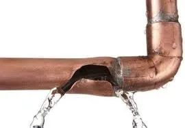 Shogun Services Logo