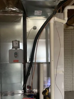 Shoulders Handy Work