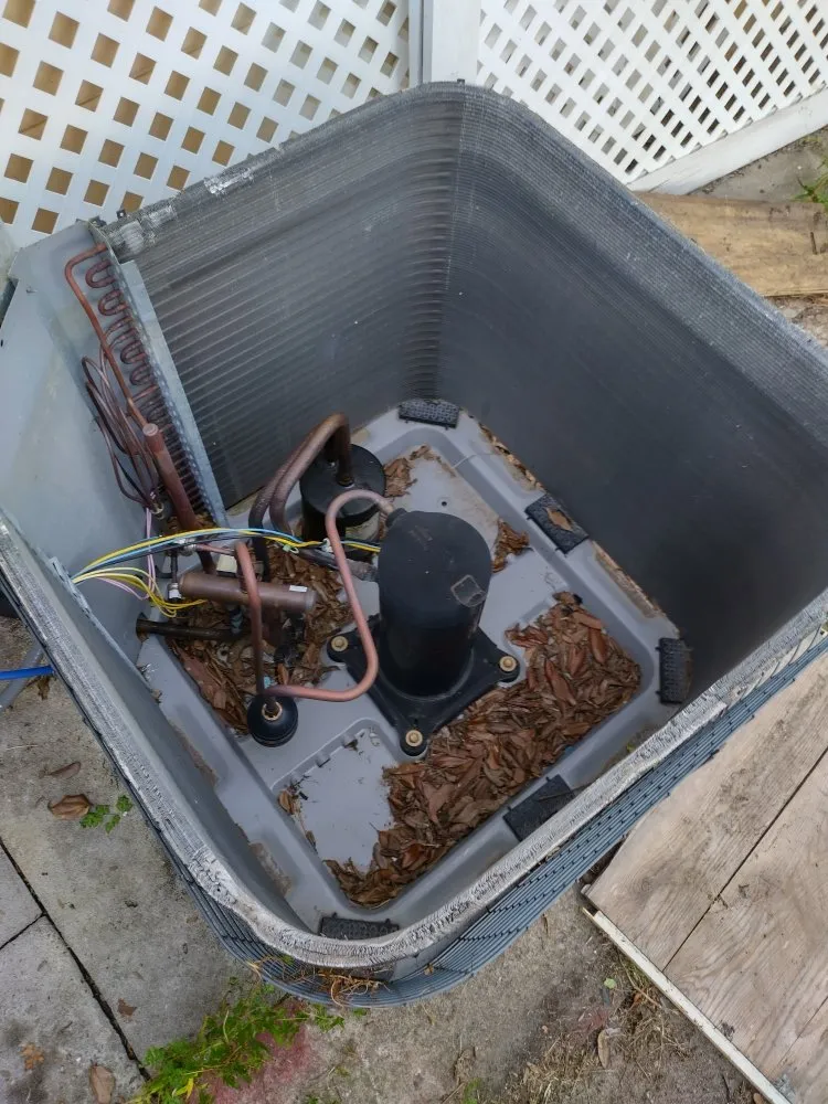 Slide of Siberian Air