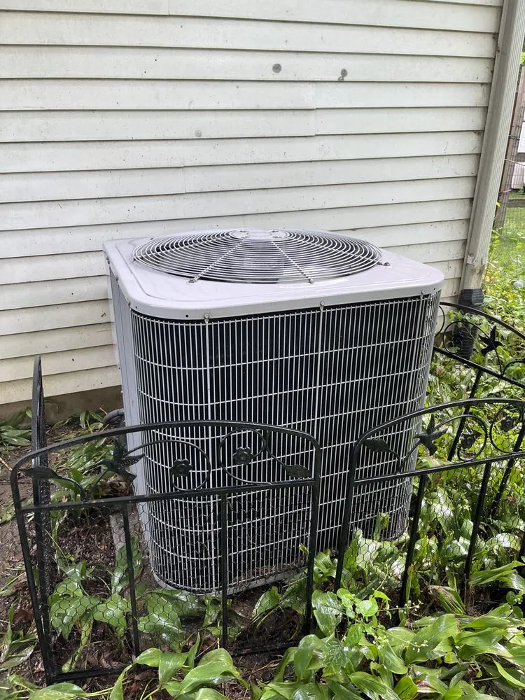 Slide of Siberian Mechanical