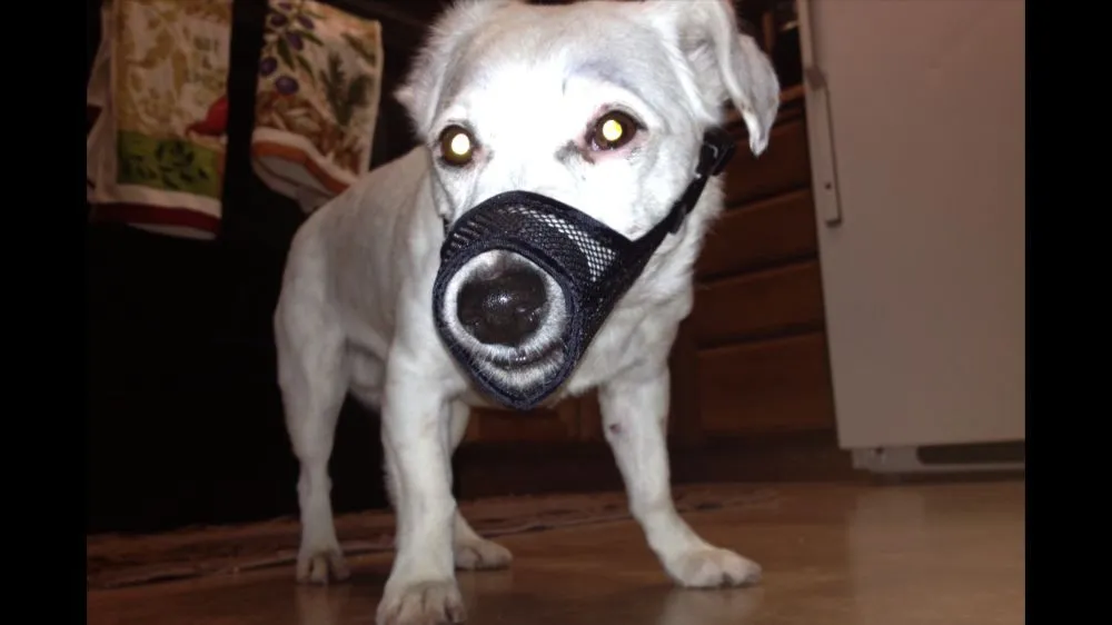 Slide of Sierra Aire