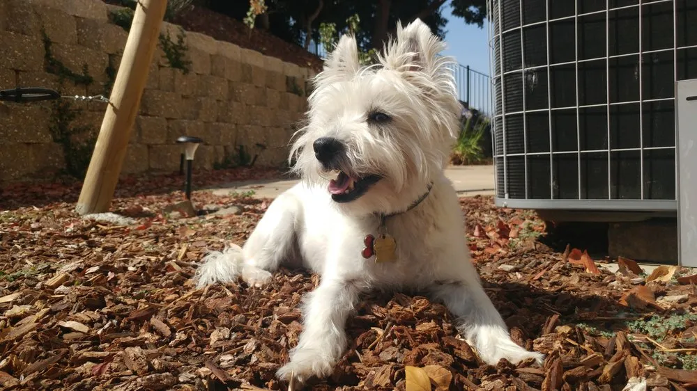 Slide of Sierra Aire