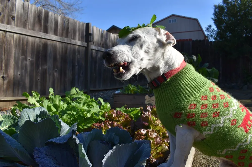 Slide of Sierra Aire
