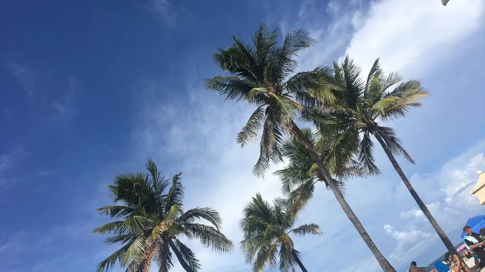 Slide of Signature Air Conditioning