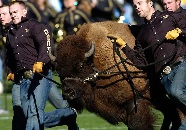 Slide of Signature Heating & Air