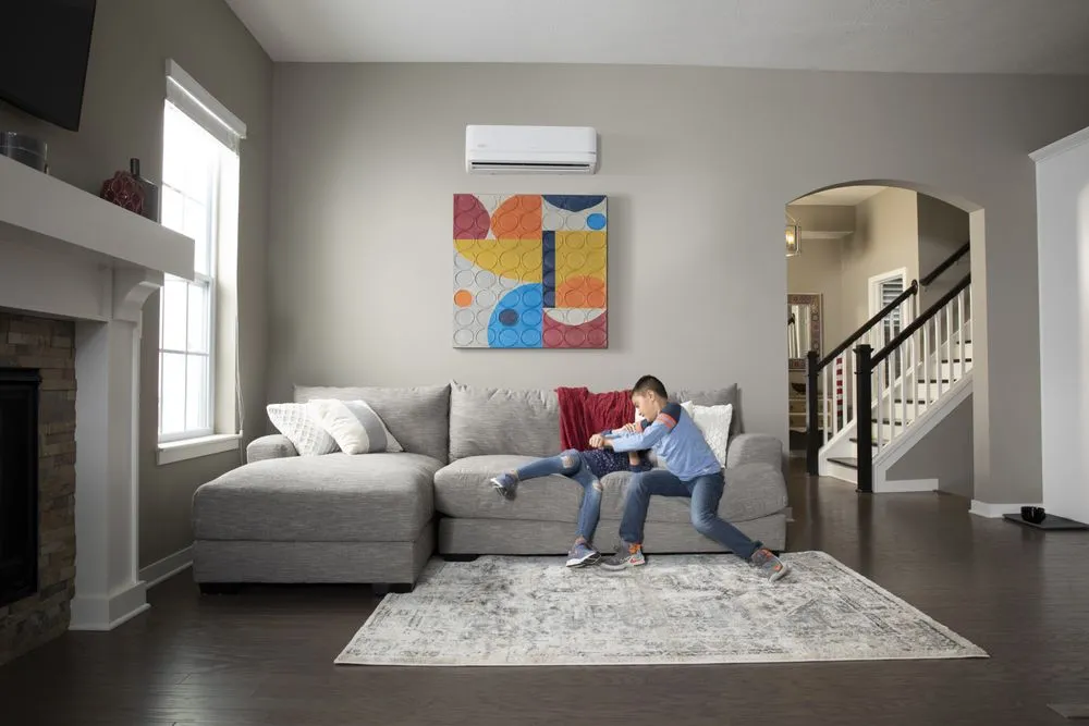 Slide of Silicon Valley Comfort