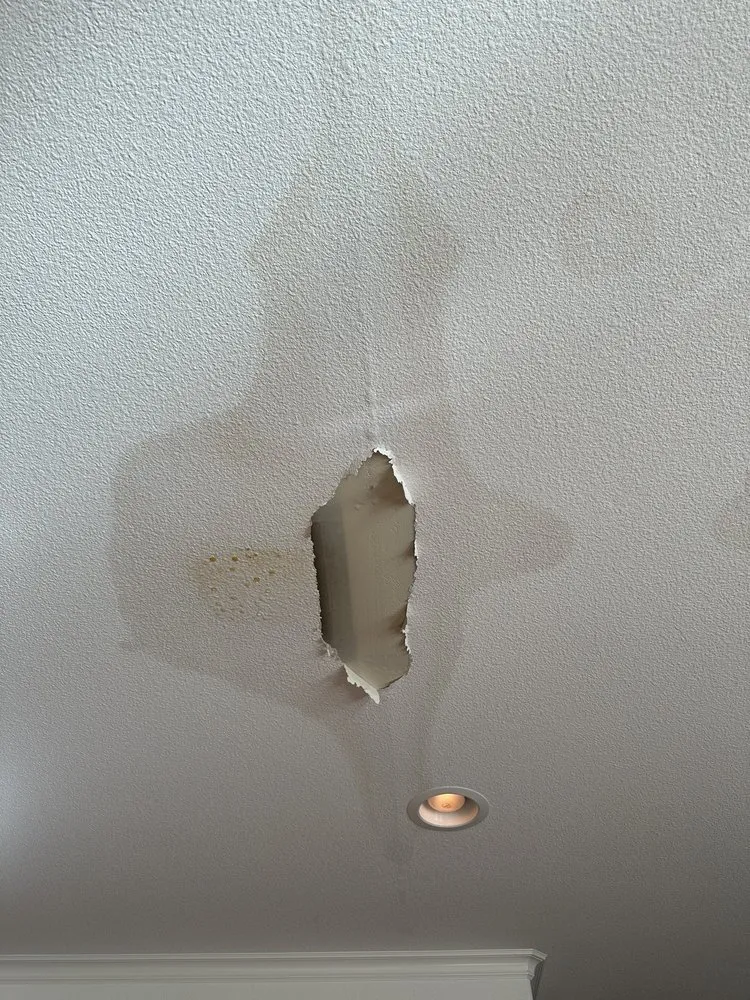 Slide of Silicon Valley Comfort