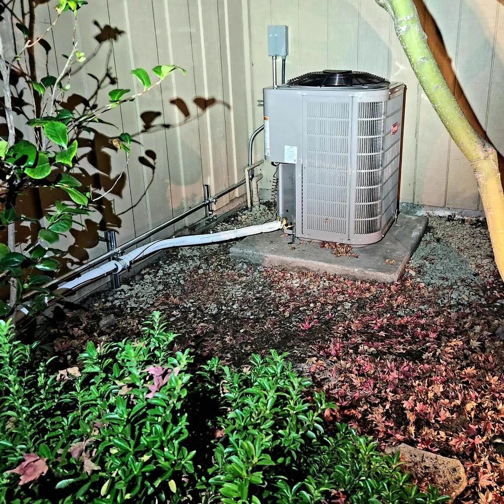 Slide of Silicon Valley Comfort