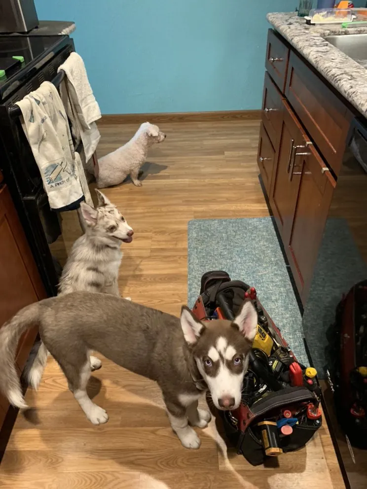 Slide of Silicon Valley Express Repair