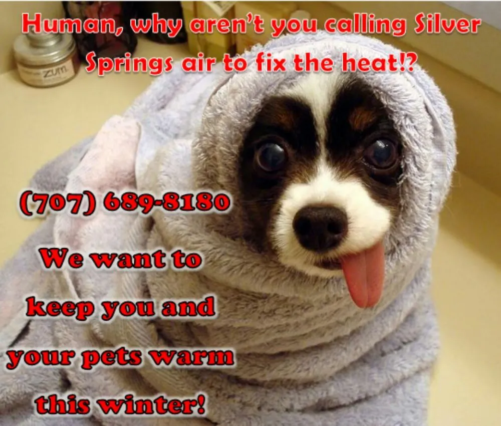 Slide of Silver Springs Air