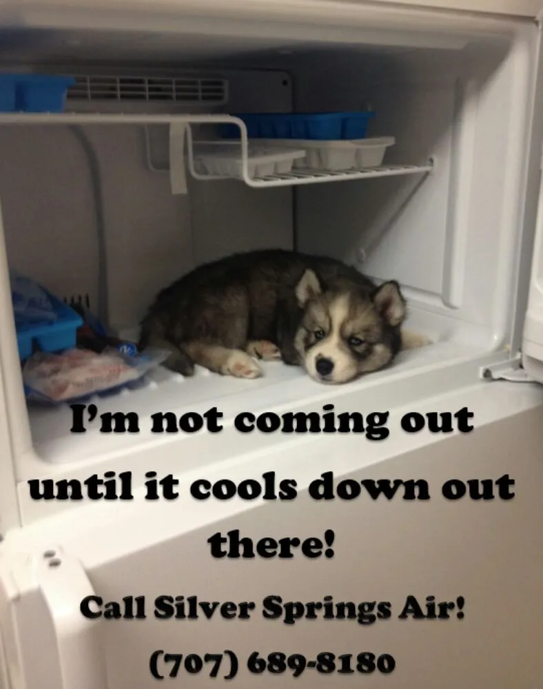 Slide of Silver Springs Air