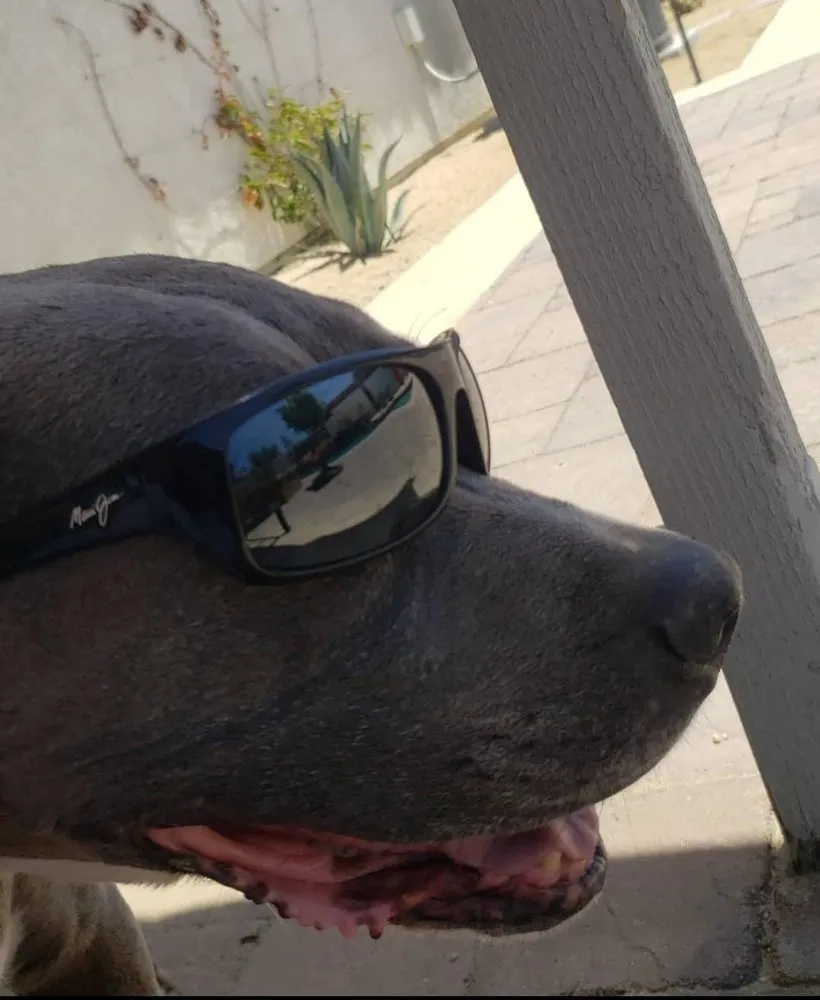 Slide of Simmons Air