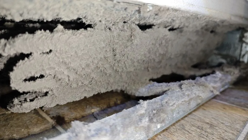 Slide of Simple Fix Appliance Repair