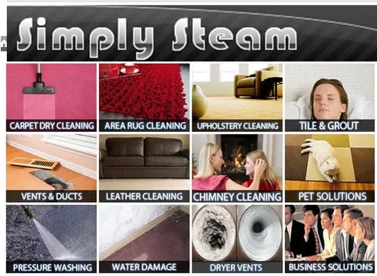 Simply Steam Logo