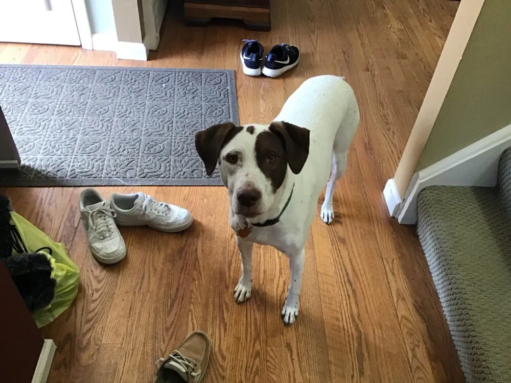 Slide of Sippin Energy Products