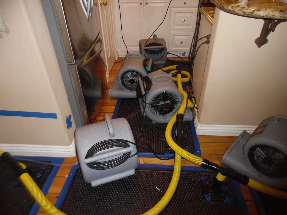 Slide of Sky Blue Restorations