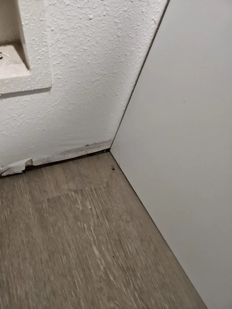 Slide of Sky Blue Restorations