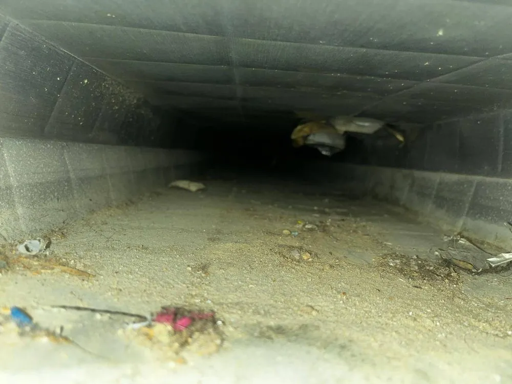 Slide of Sky Clean Air