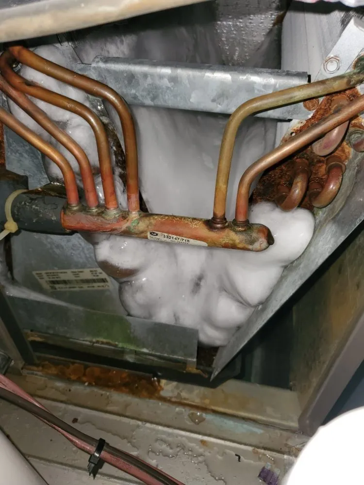 Slide of Skye's The Limit