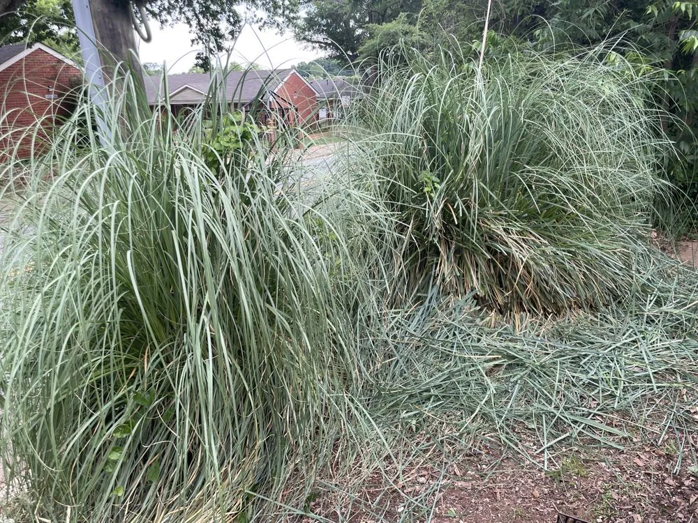 Slide of SLAM Home and Audio