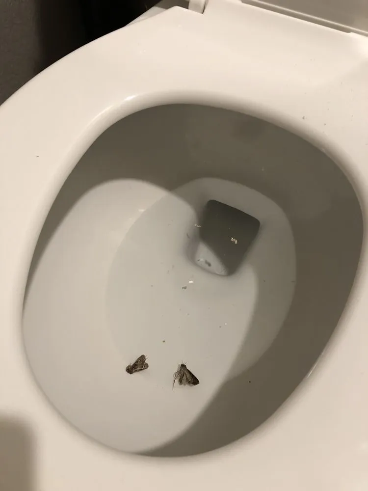 Slide of Smith & Willis Heating & Air Conditioning