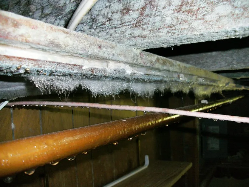 Slide of Smoke Clean of Massachusetts