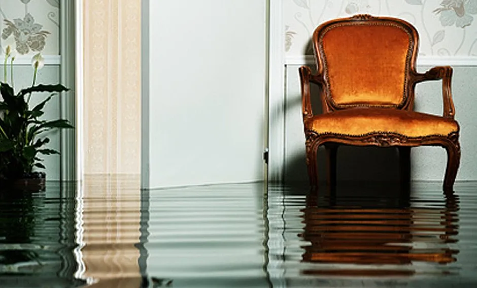 Slide of Smoke Clean of Massachusetts