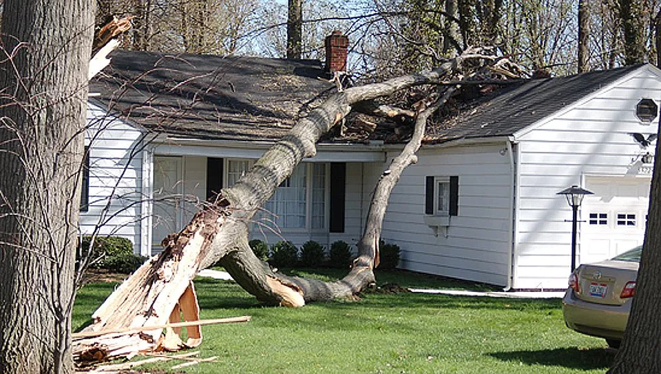 Slide of Smoke Clean of Massachusetts