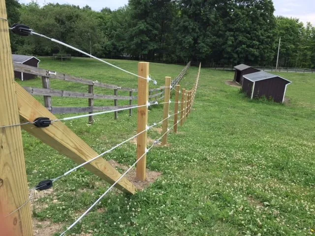 Slide of Sneider & Sons