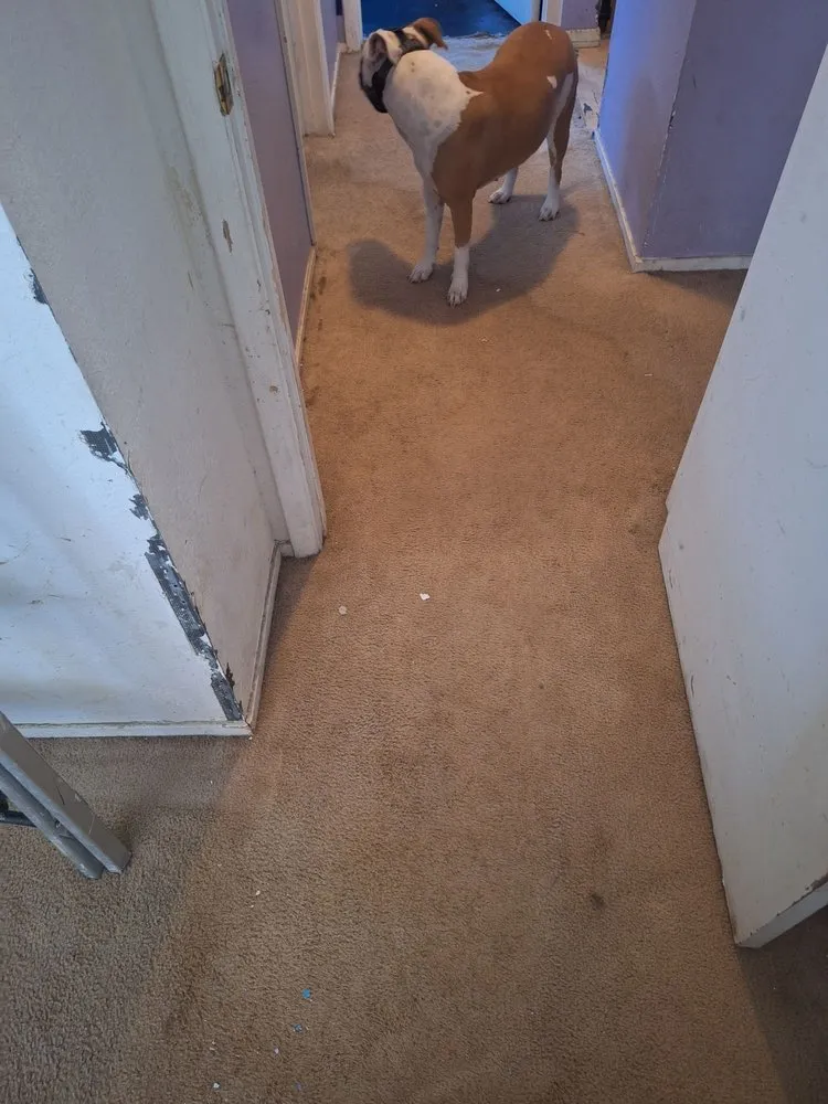 Slide of Snow Frosty Heating & Air